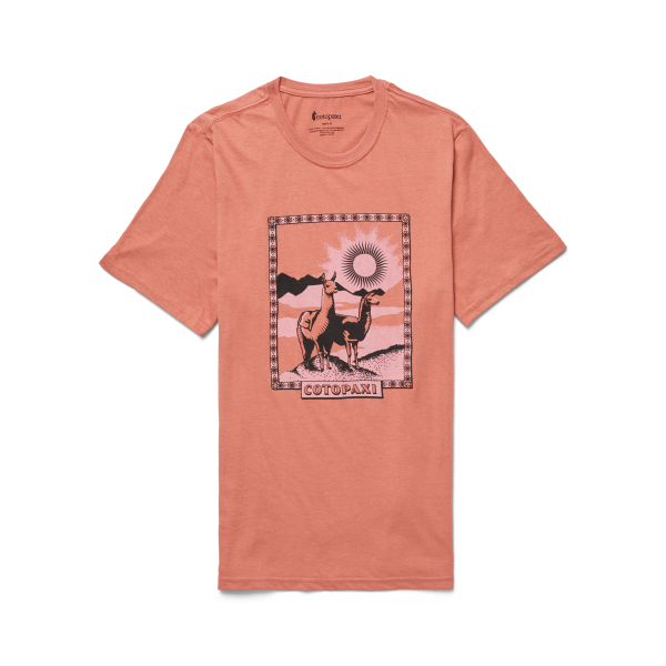 Llama Greetings T-Shirt - Men's
